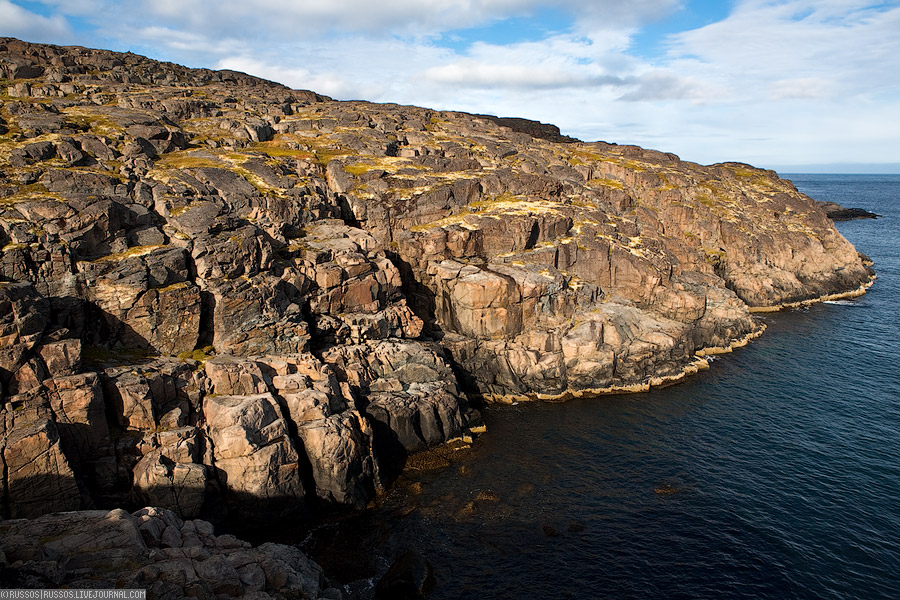 Дальние Зеленцы | природа (c) Russos, 2009