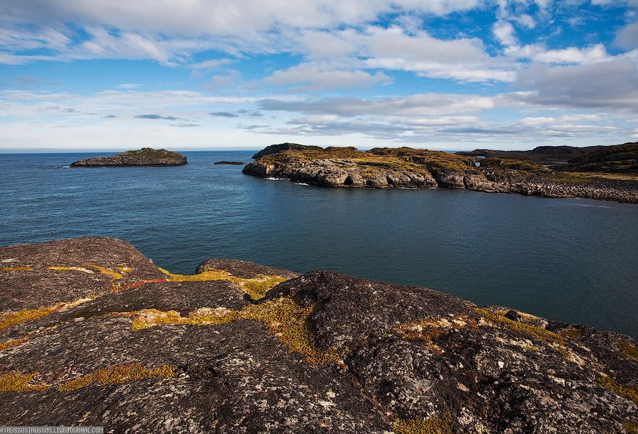 Дальние Зеленцы | природа (c) Russos, 2009