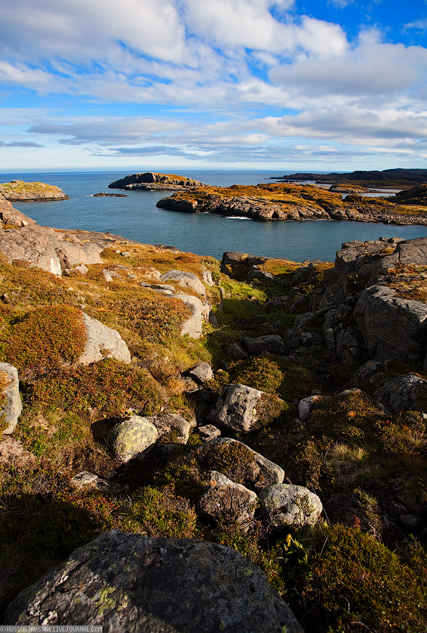 Дальние Зеленцы | природа (c) Russos, 2009