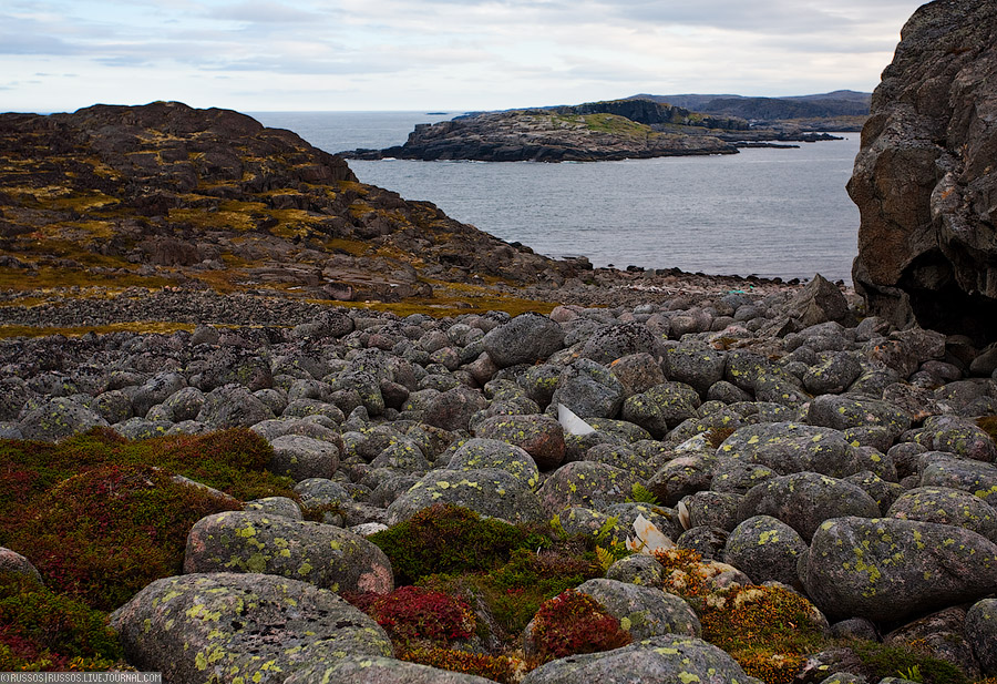 Дальние Зеленцы | природа (c) Russos, 2009