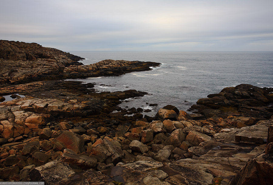 Дальние Зеленцы | природа (c) Russos, 2009