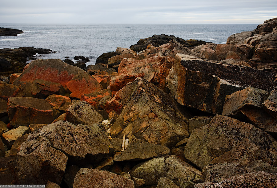 Дальние Зеленцы | природа (c) Russos, 2009