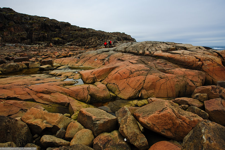 Дальние Зеленцы | природа (c) Russos, 2009