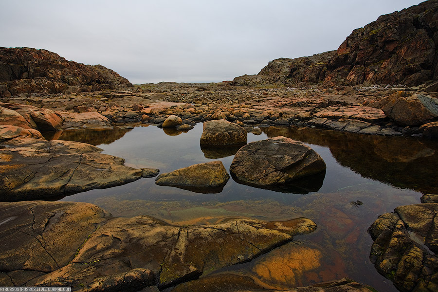 Дальние Зеленцы | природа (c) Russos, 2009