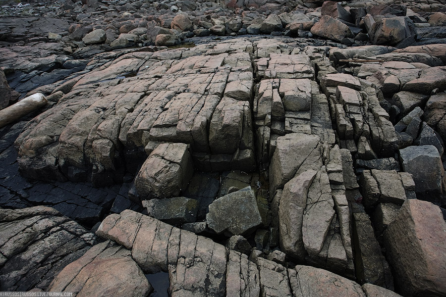 Дальние Зеленцы | природа (c) Russos, 2009