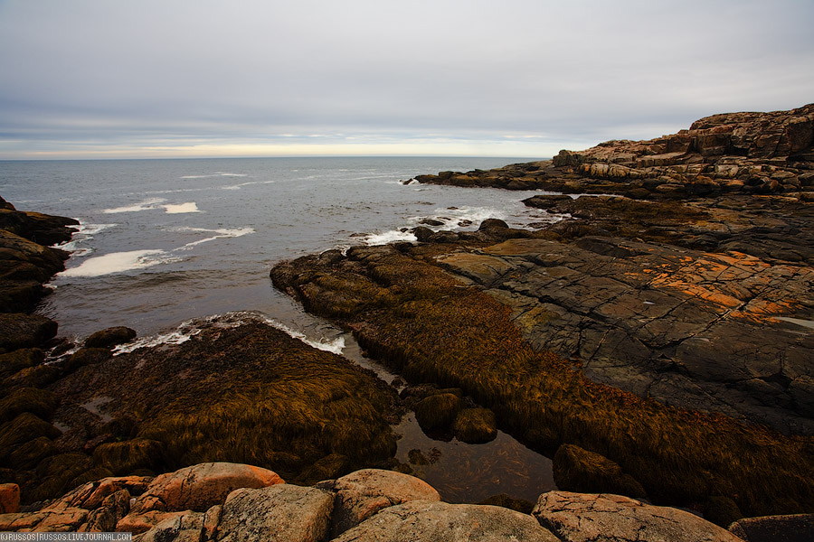 Дальние Зеленцы | природа (c) Russos, 2009