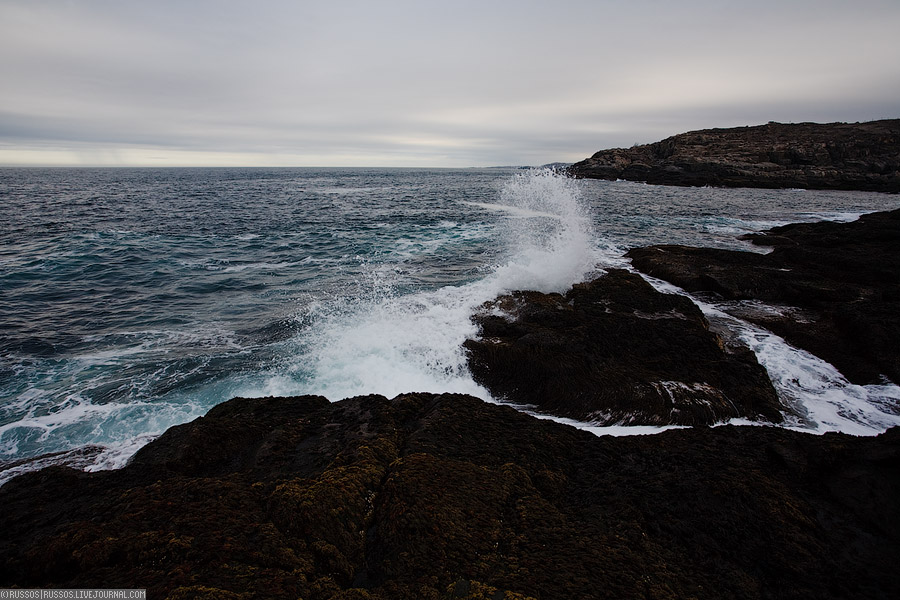 Дальние Зеленцы | природа (c) Russos, 2009