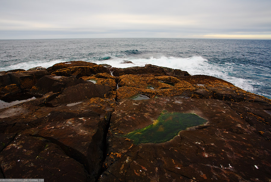 Дальние Зеленцы | природа (c) Russos, 2009
